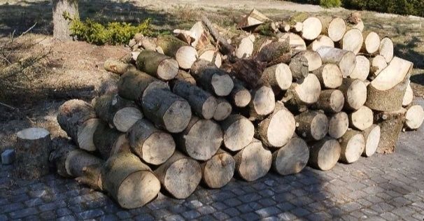 Drewno opałowe świerk