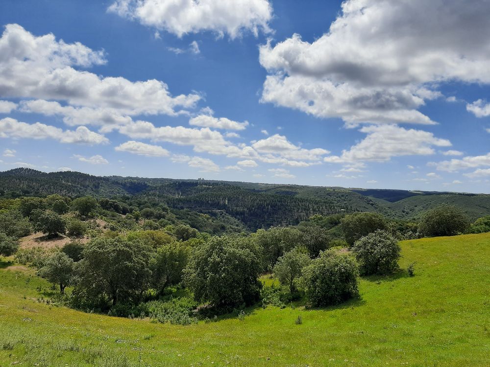 Propriedade alentejana