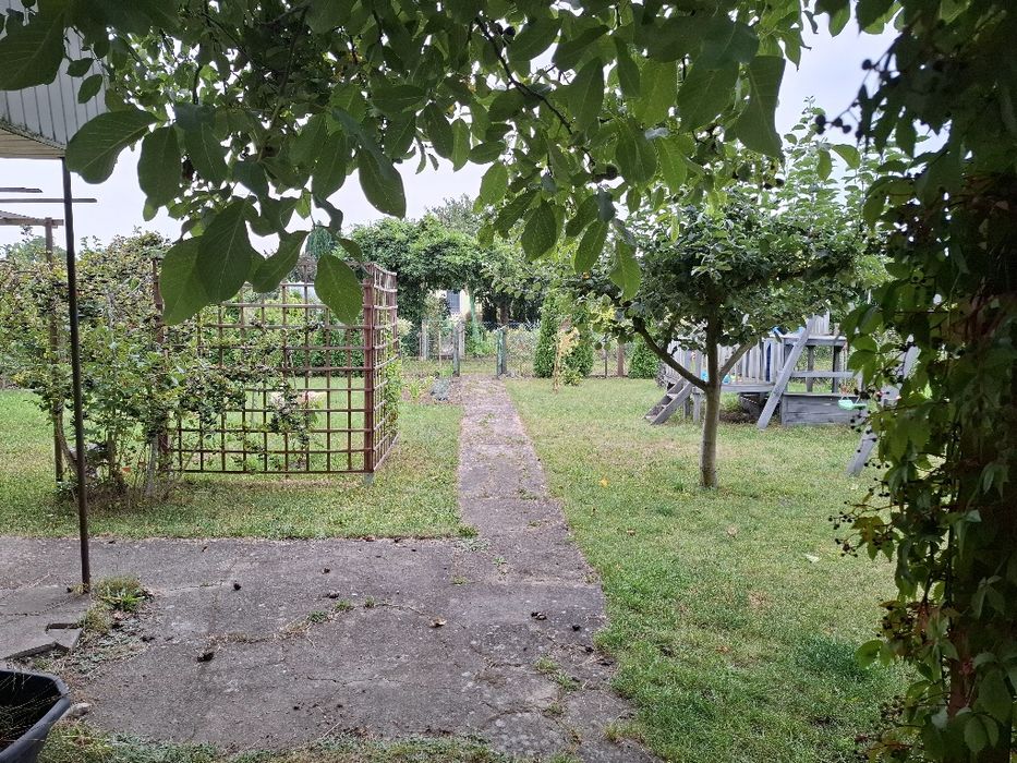 Sprzedam działkę ROD przy ul. Spokojnej