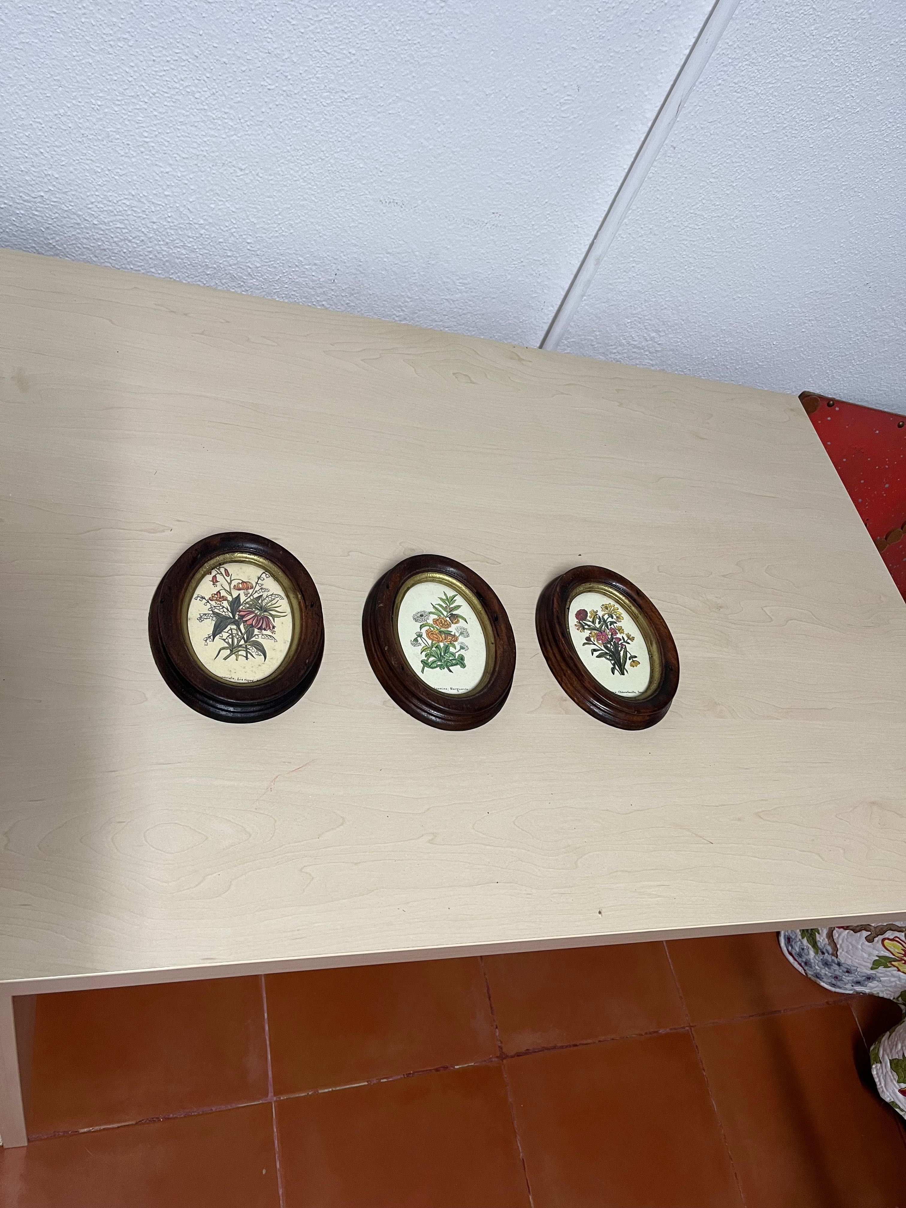 Vendo coleção Floral de 3 quadros de parede