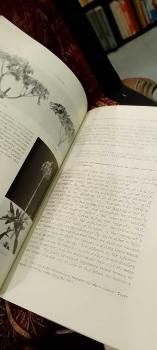 Contribuition to the Physiology of Development  Flower