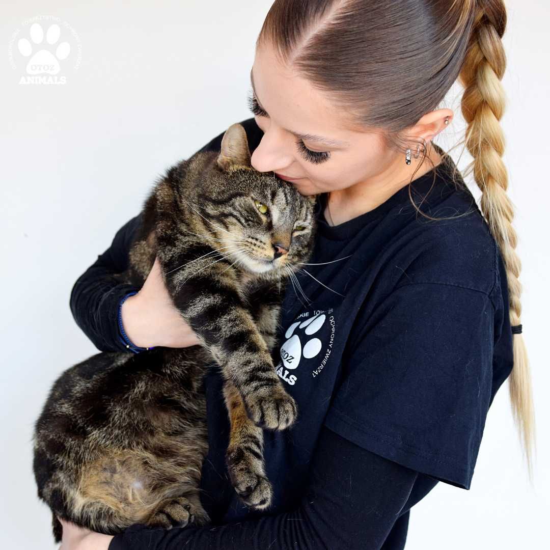 Piękny kocurek do adopcji! Poznajcie Filipka!