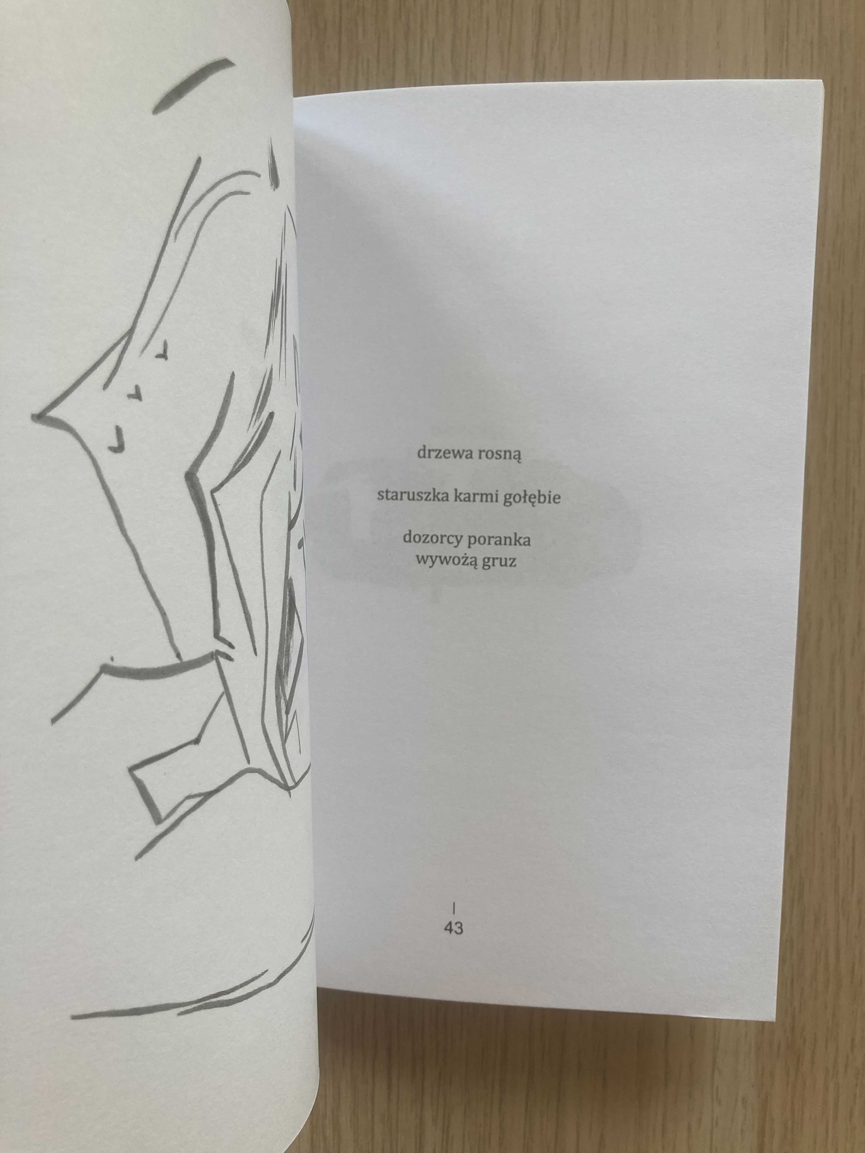 Poezja-Ewangelia gruzu-Piotr Lamprecht