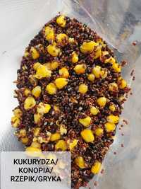 MIX ZIAREN Kukurydza/konopia/rzepik/gryka 1 kg