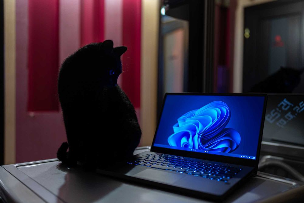 Ноутбук Asus ROG Zephyrus G14 (GA401IV)