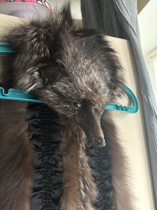 Чернобурая лисица воротник с мордашкой