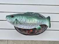 Nowa Śpiewająca Ryba Billy Bass Big Mouth