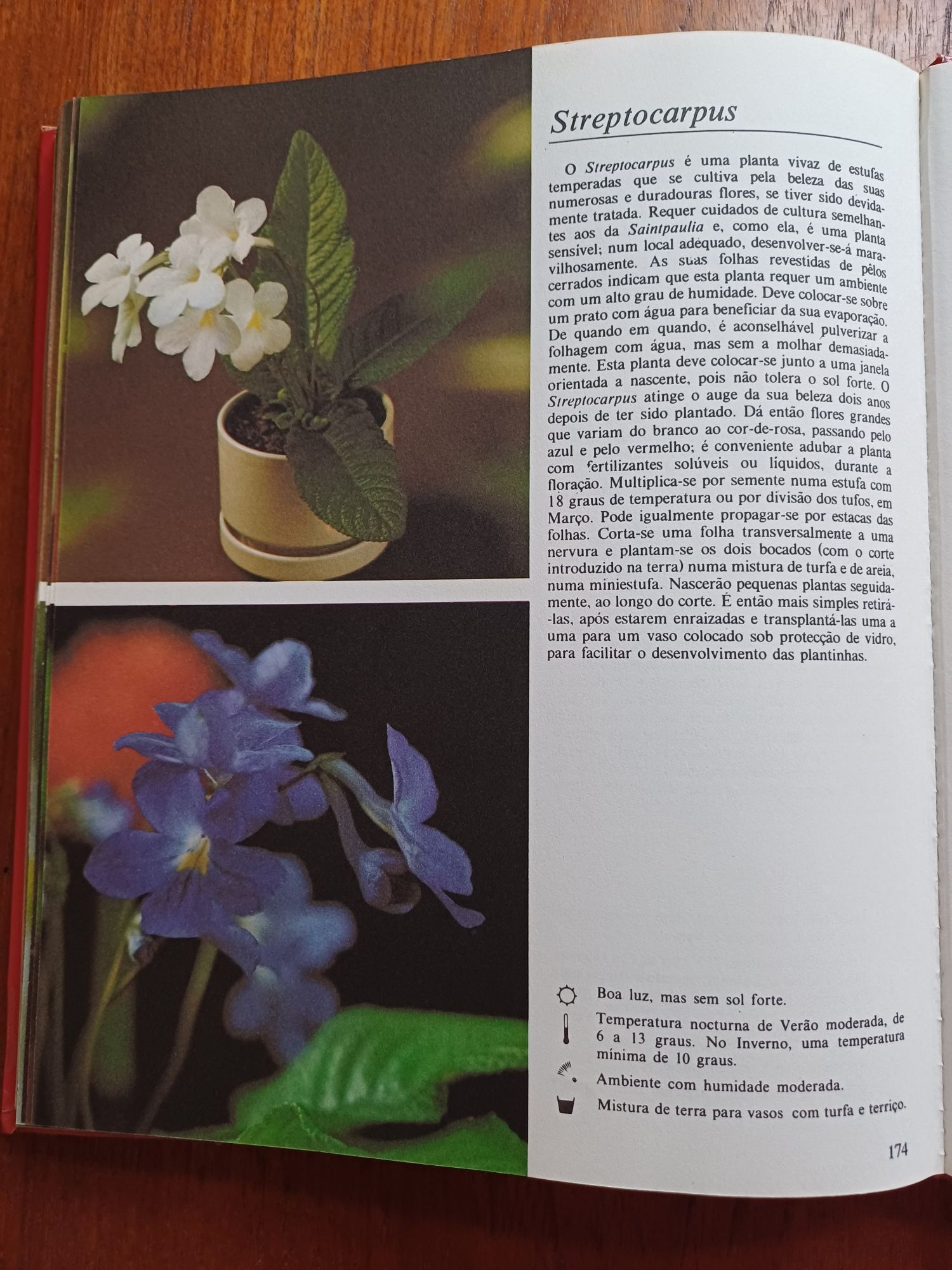 O Livro das Plantas de Rob Herwig e Claude Riou