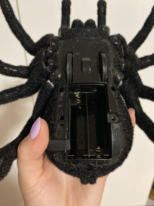 Павук на пульті керування