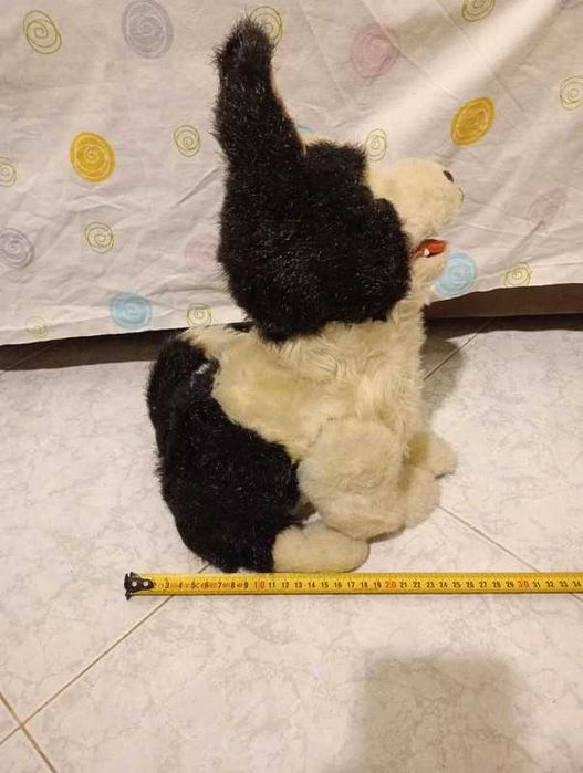 Husky peluche cão