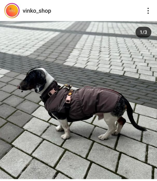 Одяг для собак, жилет зимовий для такси