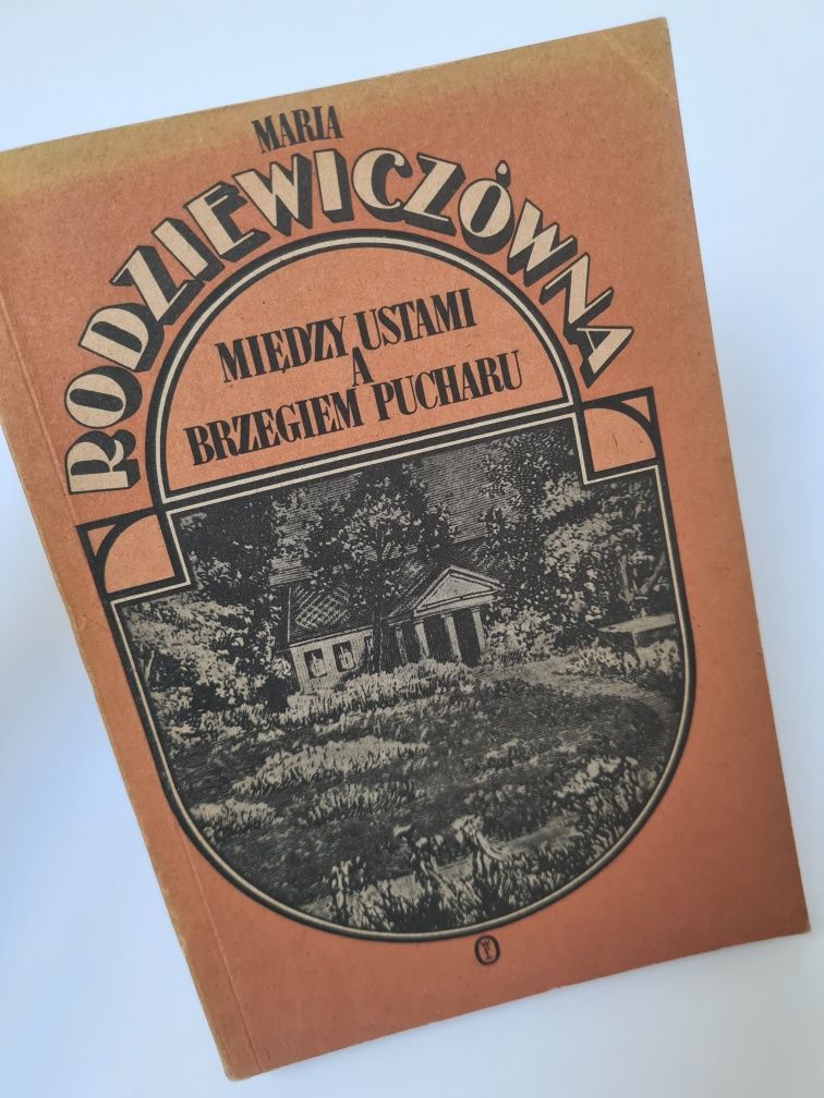 Między ustami a brzegiem pucharu - Maria Rodziewiczówna