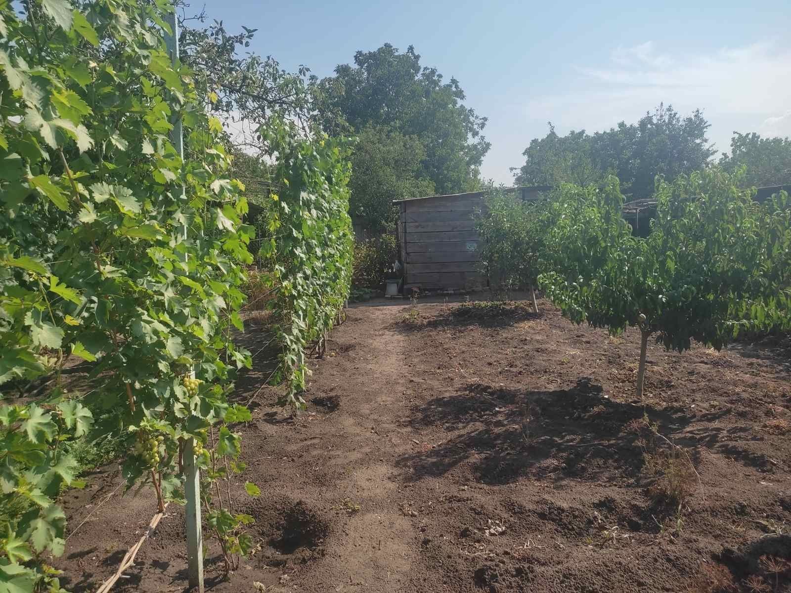 Недвижимость Земля продажа