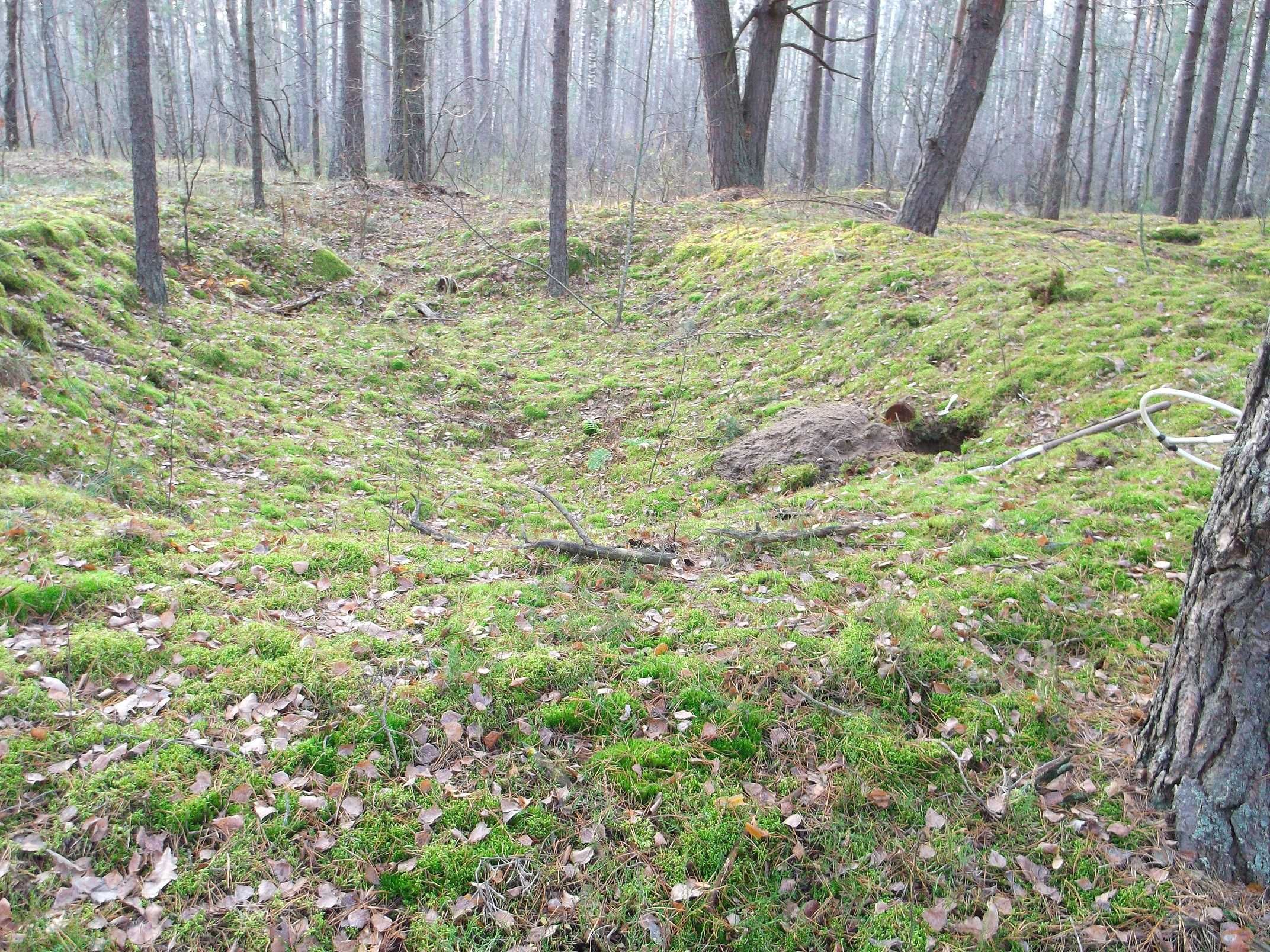 Potężny Wykrywacz metali głębokość 2,5-3 metry  Detektor metalu