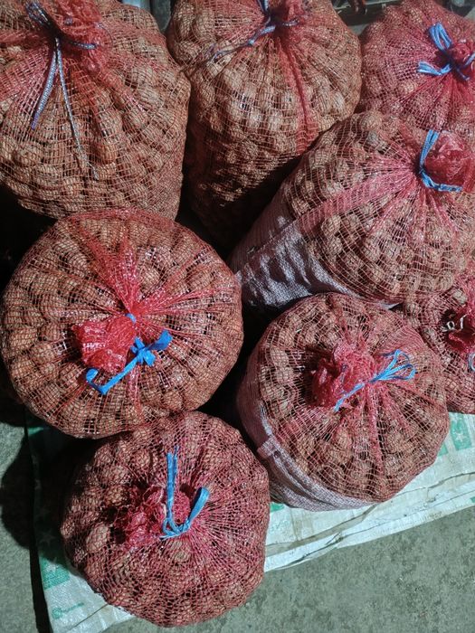 Nozes de boa qualidade