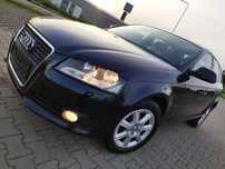 Audi A3 1.6 8V 102 KM~MPI~LIFT~Climatronic~Alu 16~Sportback~PDC~Halogeny~