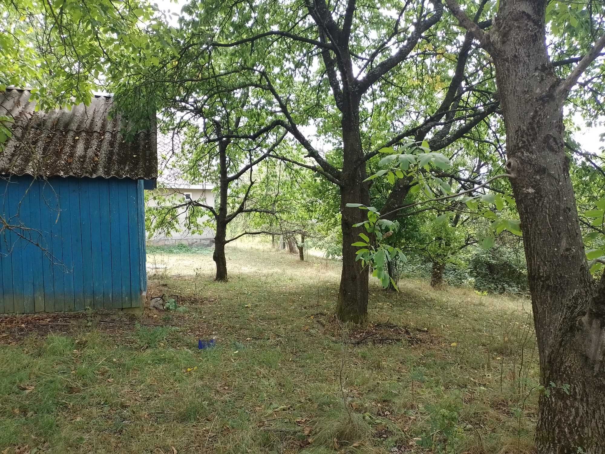 Будинок в Бедевлі приселок (Дубрівка)