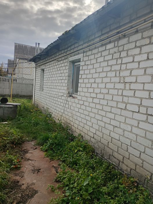 Будинок з присадибною ділянкою