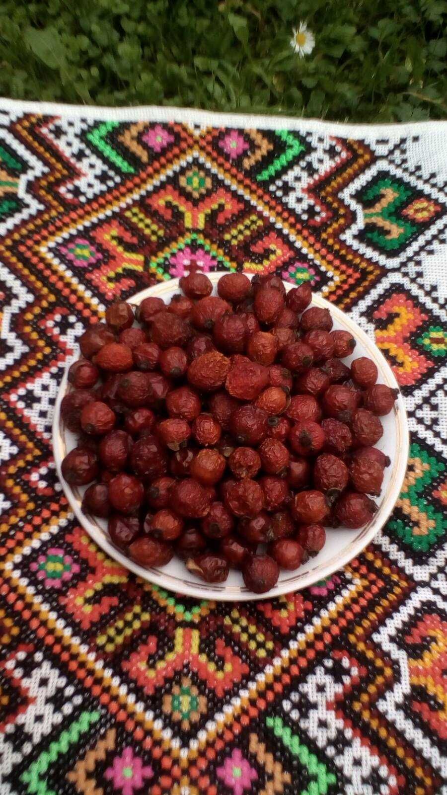 Лісові Ягоди Карпат (Чорниця, Брусниця, Журавлина Шипшина)