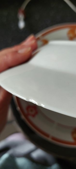 1 duży talerz + 12 głębokich talerzy / kwiaty / liście