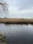 Продам Дачу, на реке Самара, Новоселовка, Лебединный плес, Новоселица