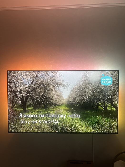 Philips 65pus8009/12