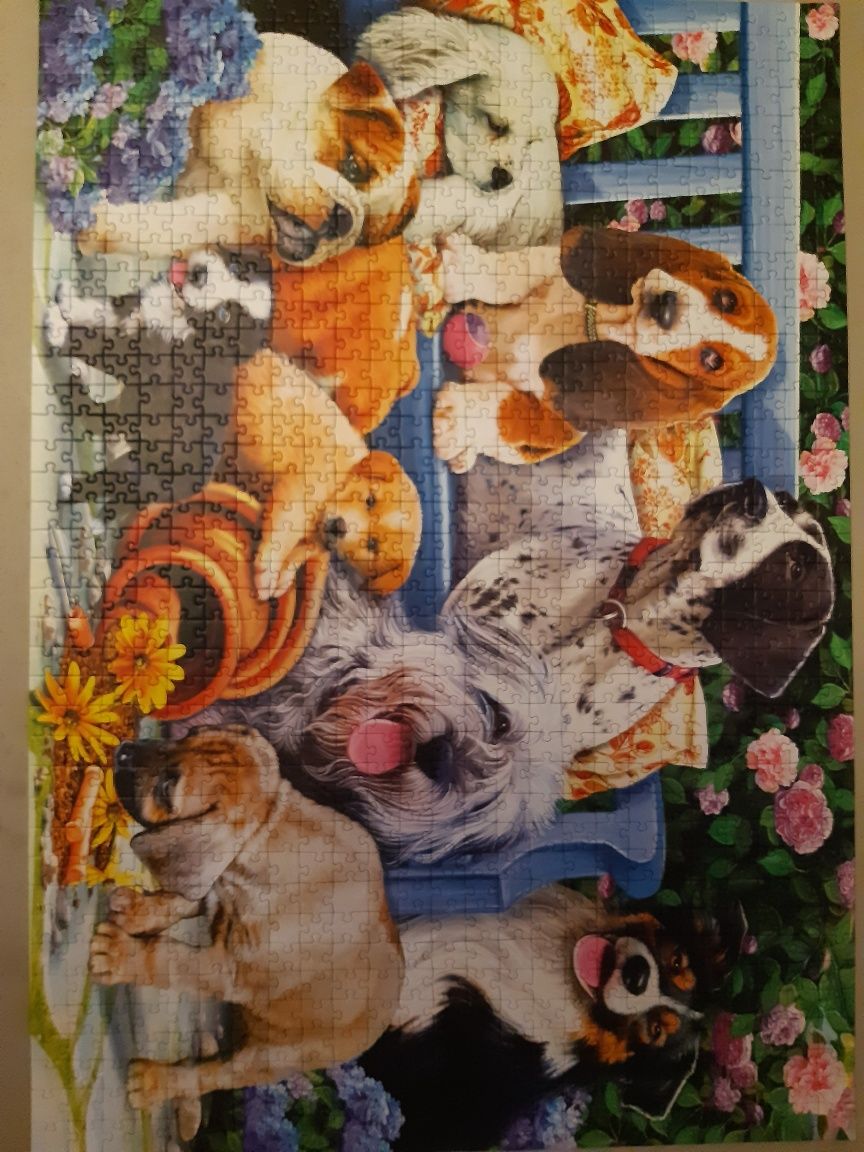 Puzzle 500 pieski