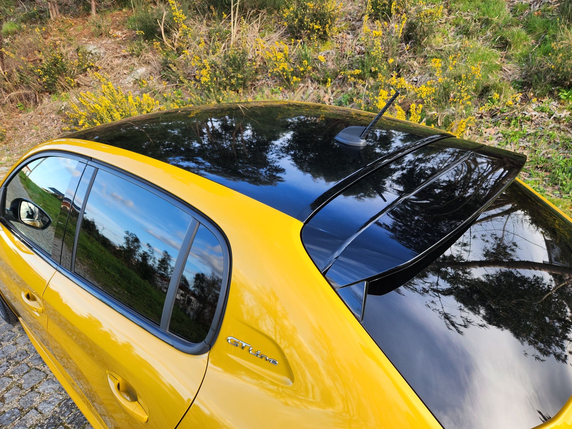 Peugeot 208 1.5 BlueHdi Gt Line