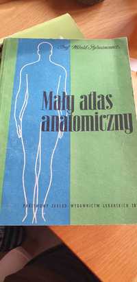 Mały atlas anatomiczny