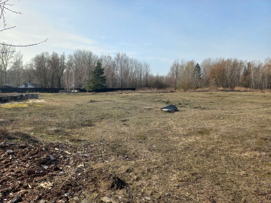 Рожни, ділянка 1га під лісом з виходом до озера