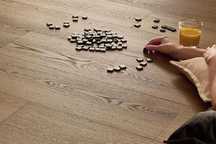 Panele winylowe spc arbiton woodric dąb dallas