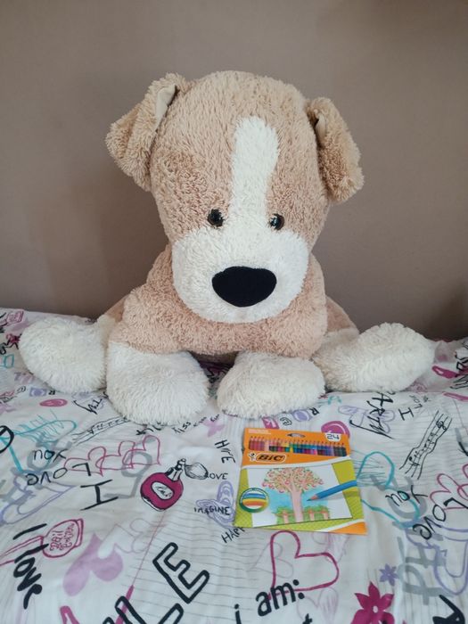 Bardzo duży pies , miś