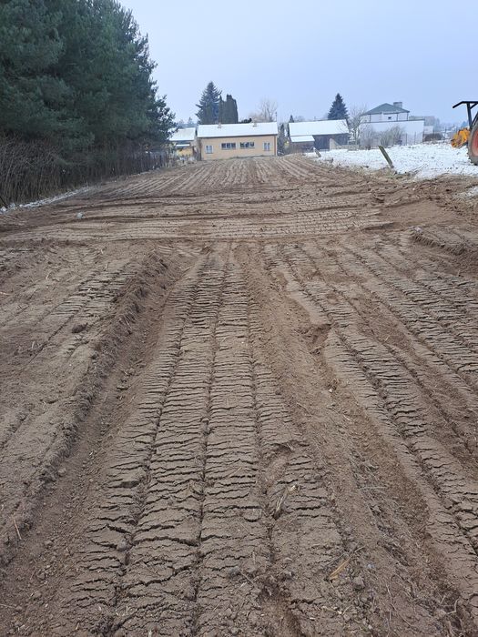 Mulczer frez Wgłębny/Leśny czyszczenie Karczowanie samosiewów pni