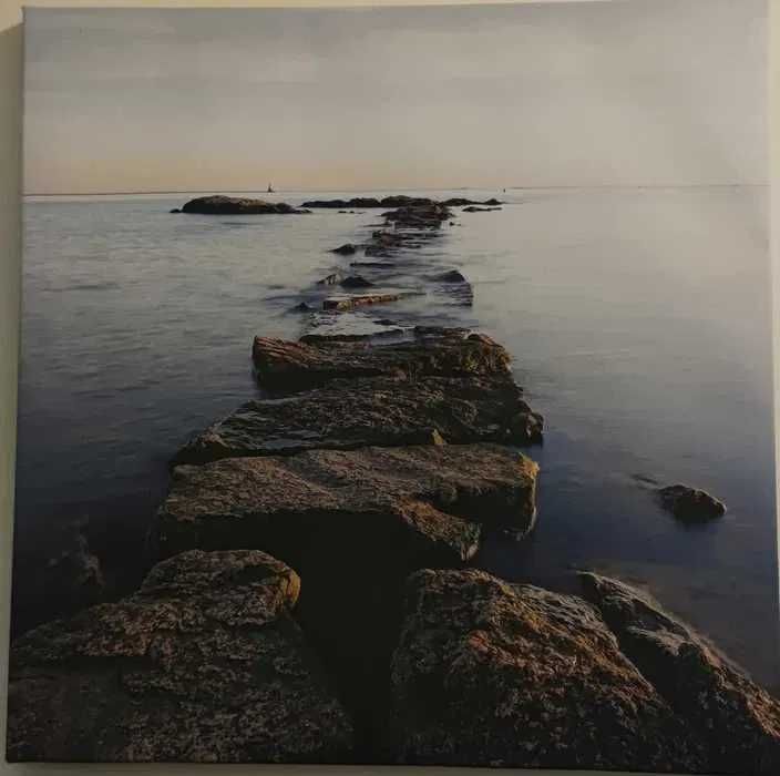 Colecção de 12 Quadros