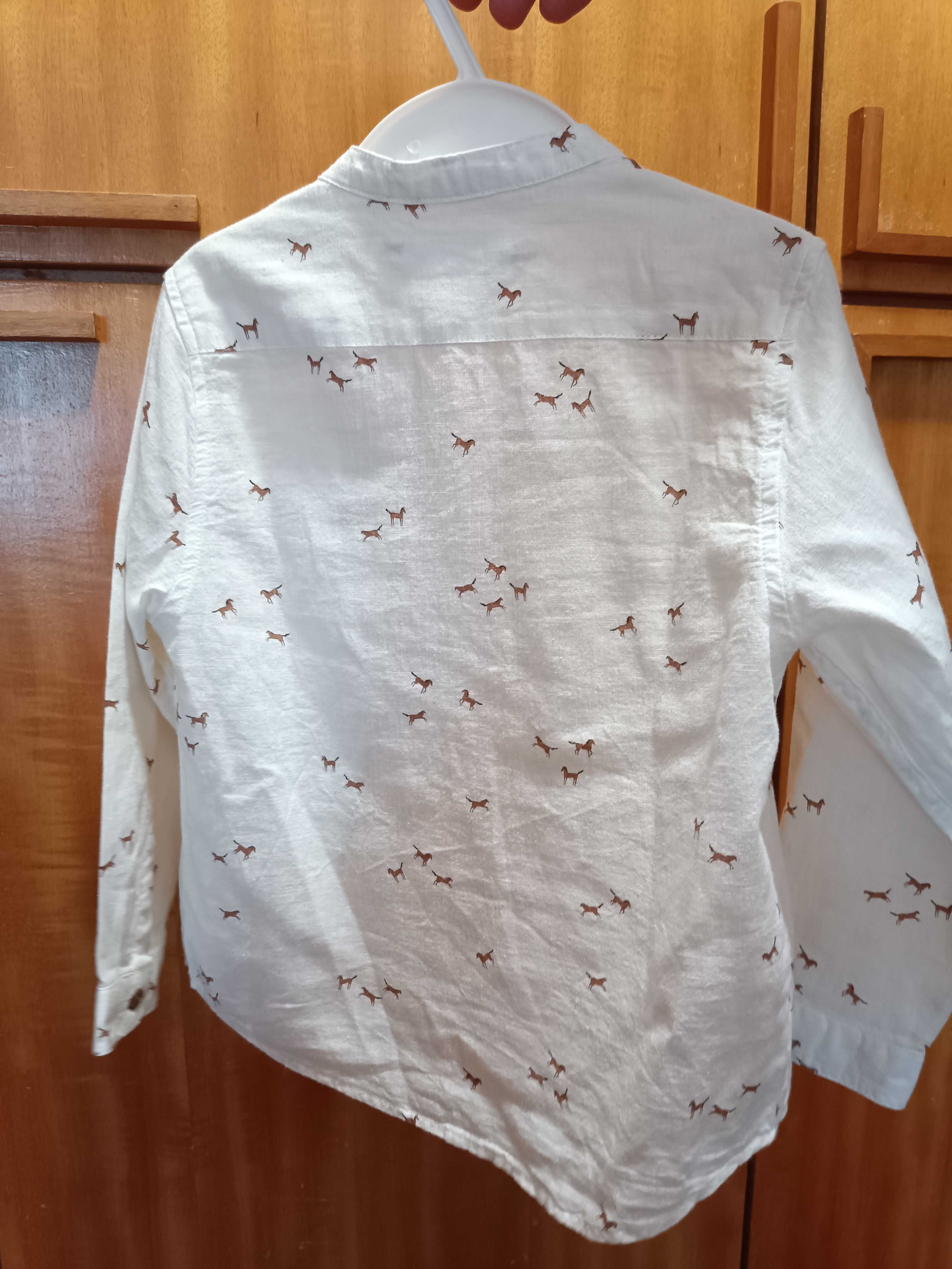 Camisa criança ZARA