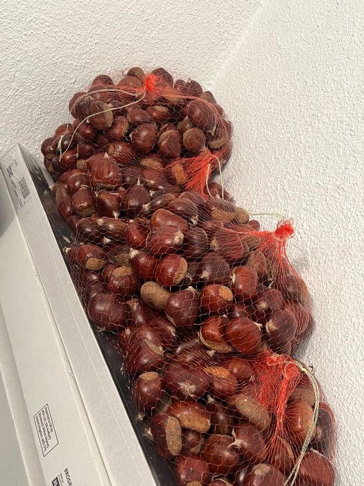 Vendo castanha martainha lisboa