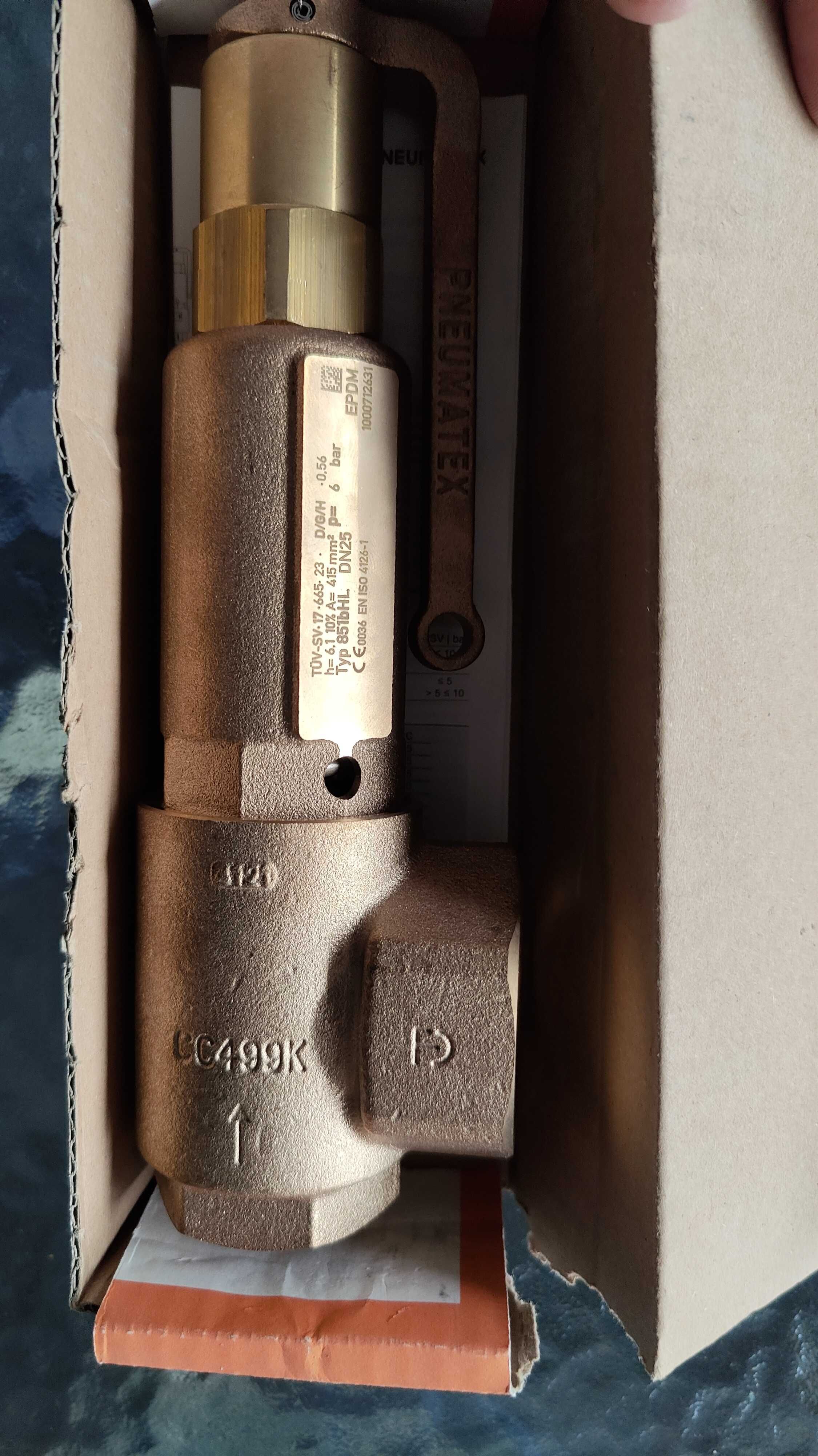 DSV 25-6,0 DGH Zawór bezpieczeństwa DN 25, 6,0 bar, brąz,