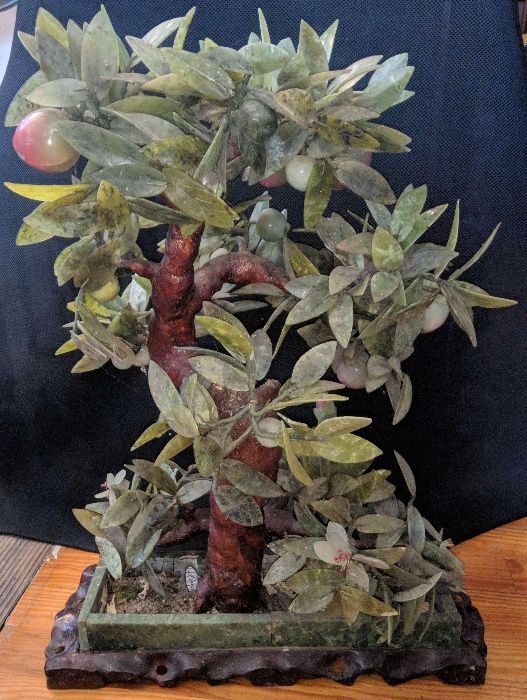 Bonsai Pessegueiro Jade