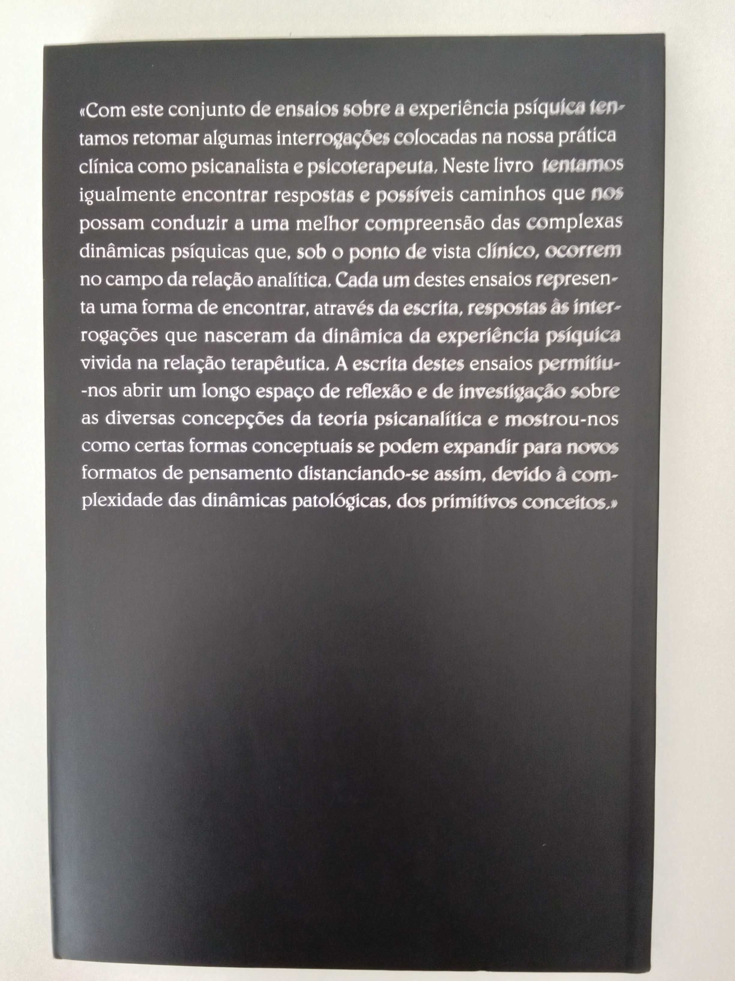 Maria Fernanda Alexandre - A experiência psíquica