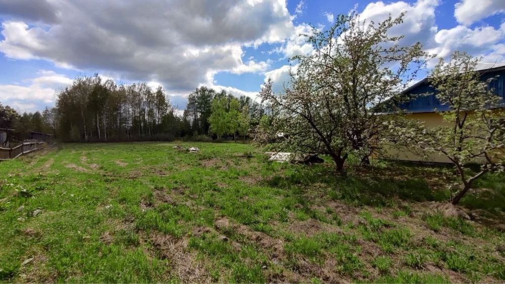 Будинок біля лісу земля 40сотих