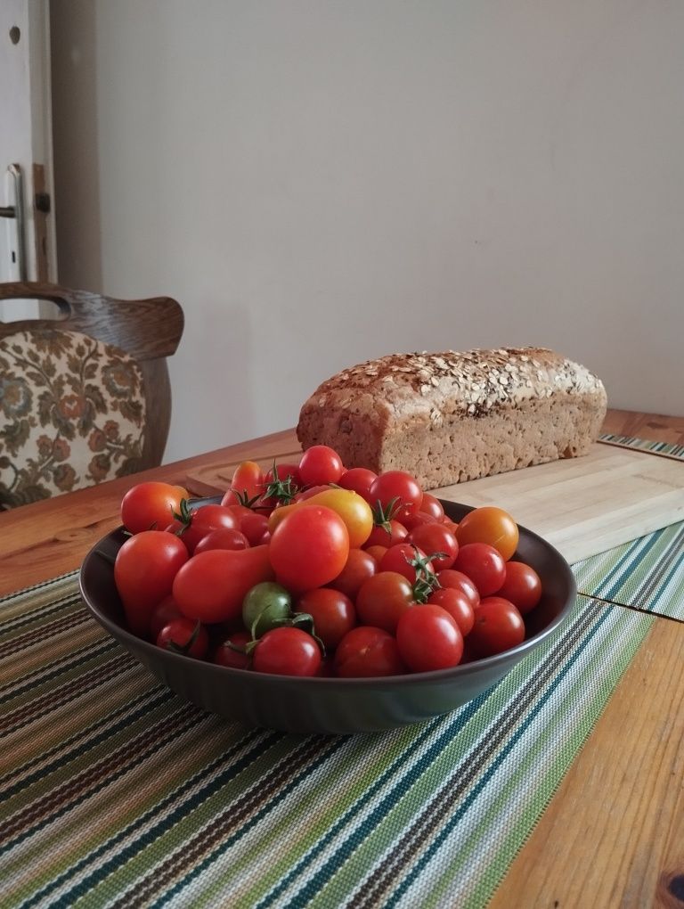 Domek wakacyjny. Dom, domek w lesie. Hetmanów koło Ostrowa Wlkp,