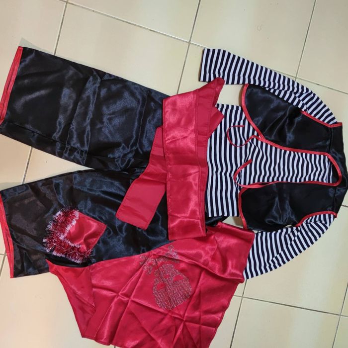 Новорічний костюм пірата, і цуценяти