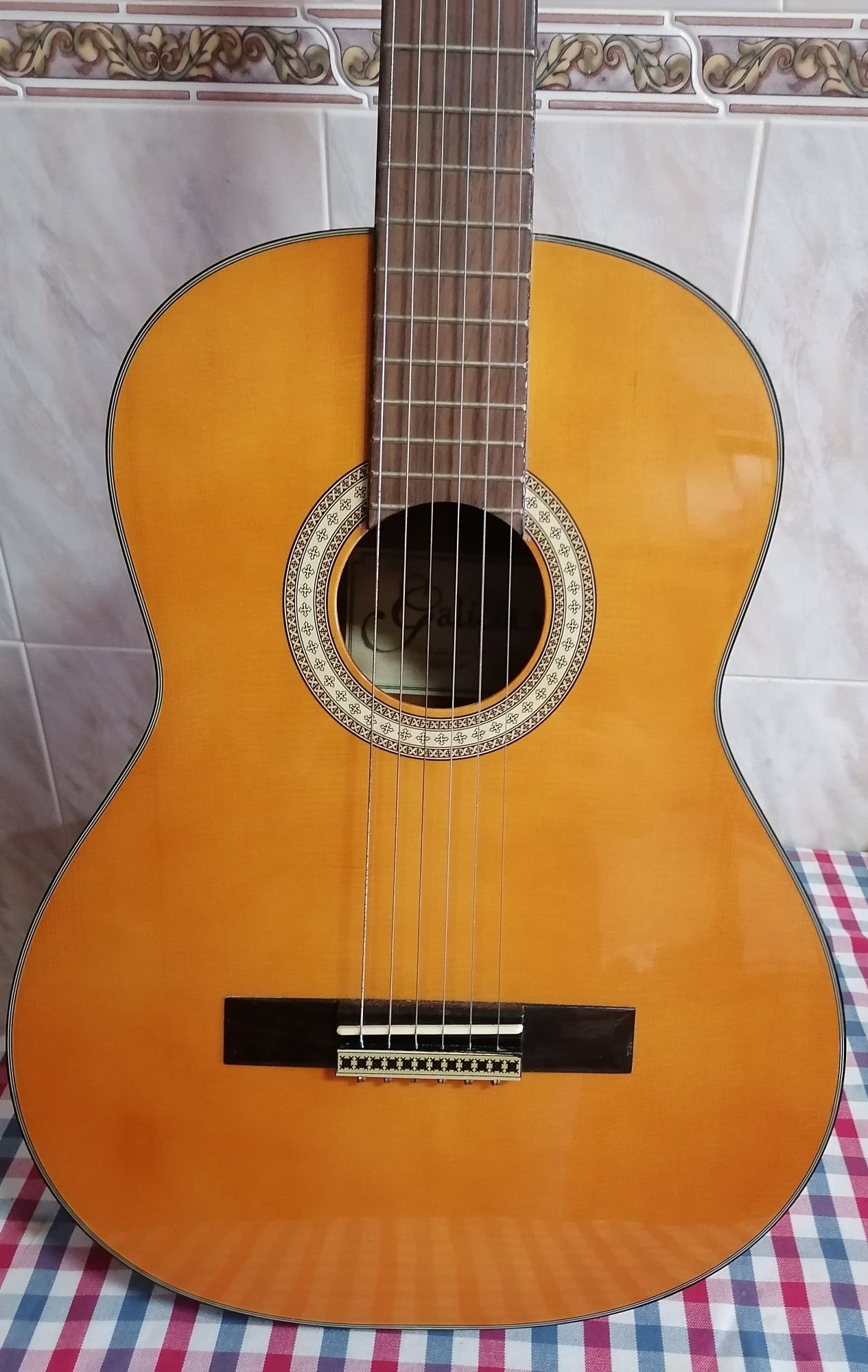 Viola acústica como nova