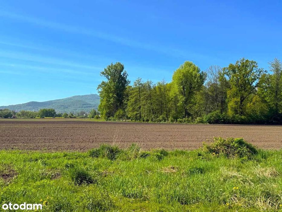 Rogów Sobócki - przy enklawie leśnej, z widokiem na Ślężę!