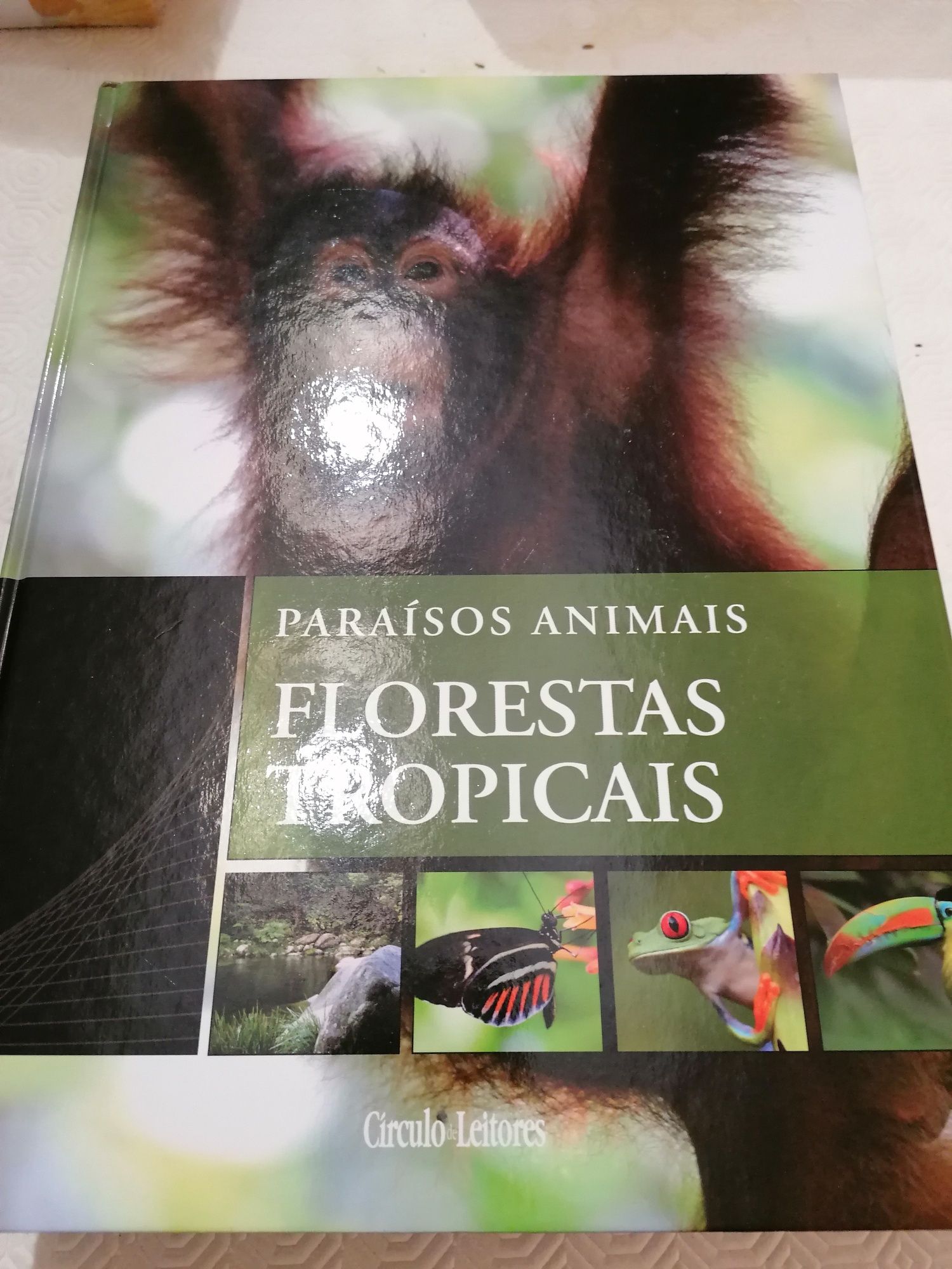 Paraísos Animais