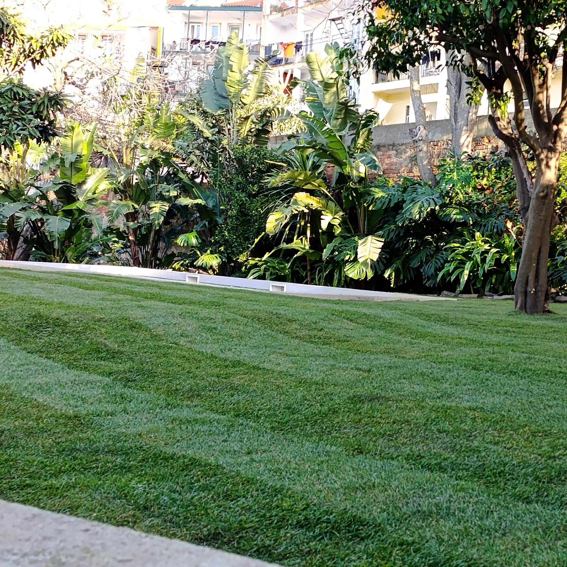 Construção e Manutenção de Jardins