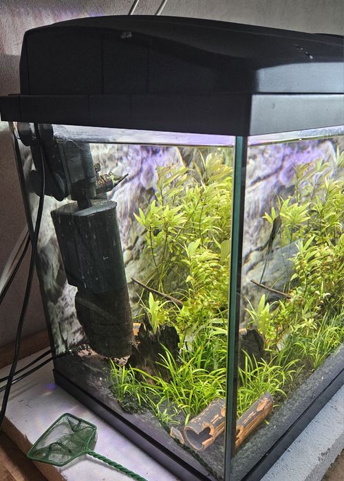 Akwarium 120 litrów