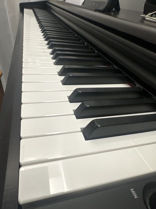 Yamaha ARIUS - YDP-144