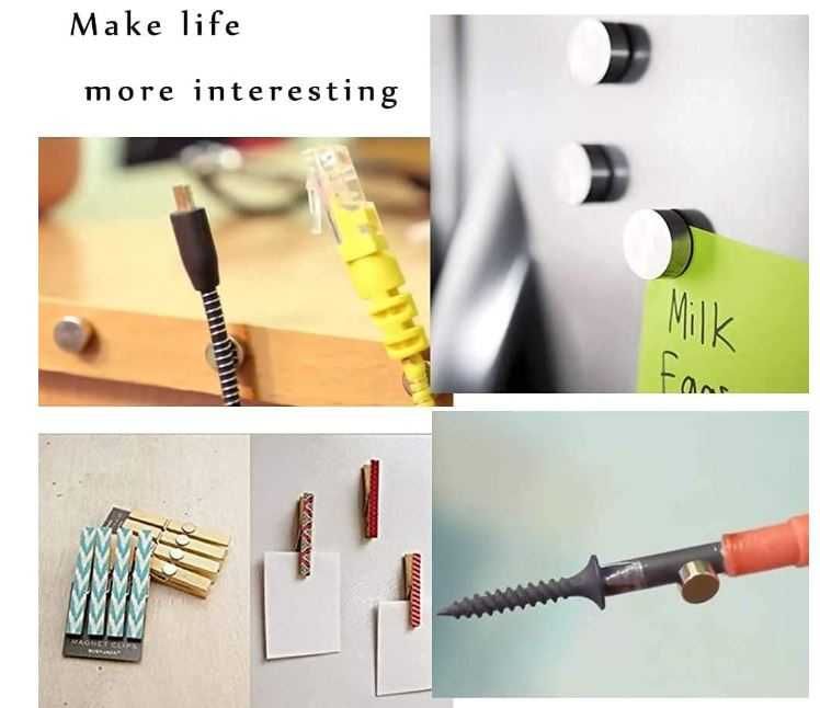 Zestaw 150 magnesów 6x1mm FINDMAG