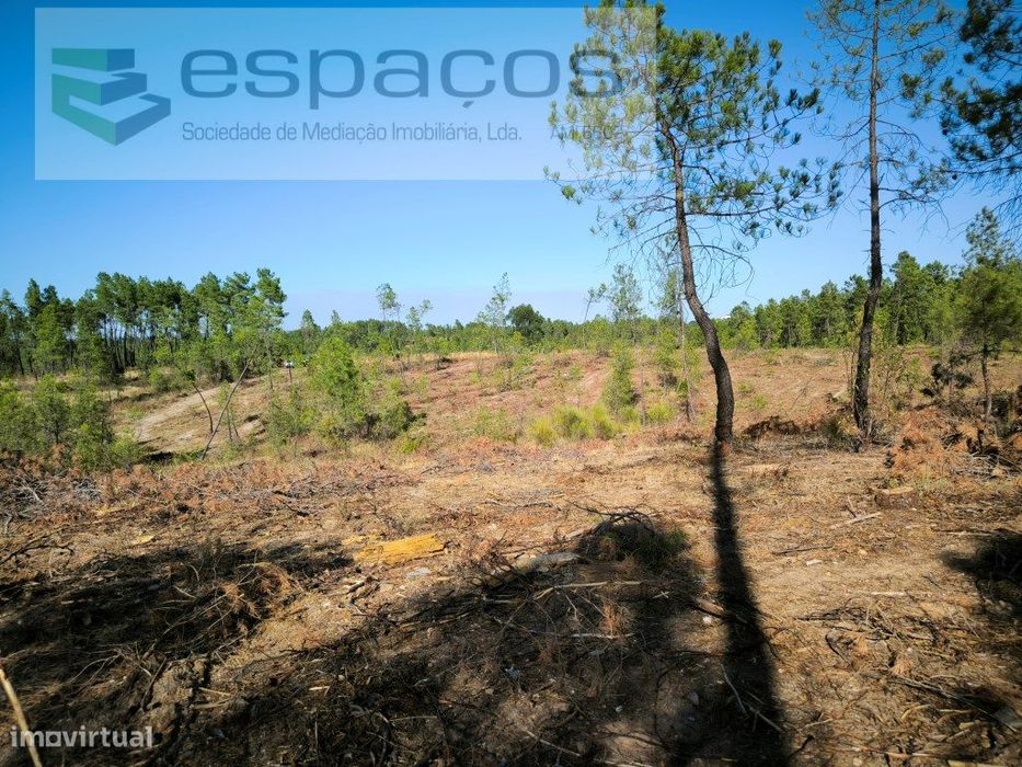 Terreno com bons acessos - S. Domingos